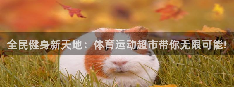 三亿体育网页版