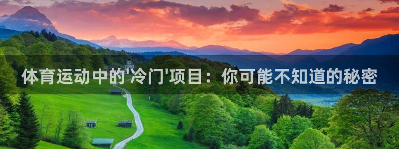 三亿体育网
