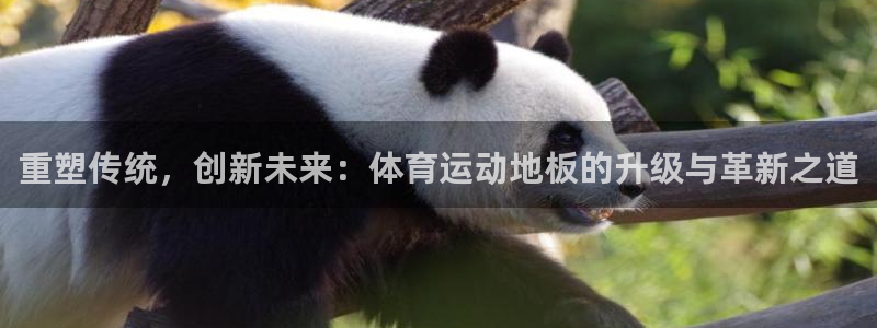 三亿体育登录