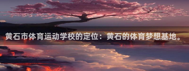 三亿体育网页版
