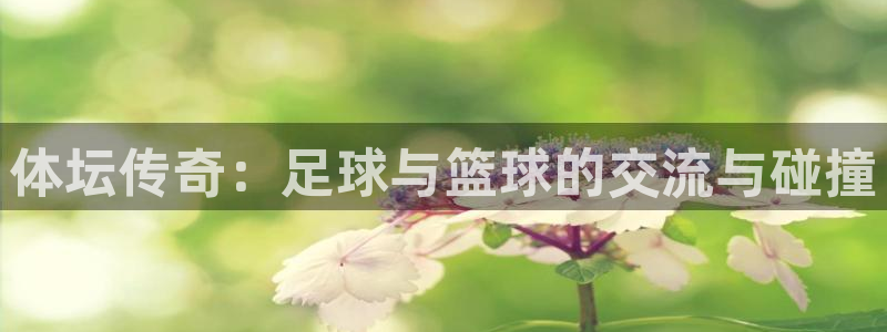 三亿体育网页版