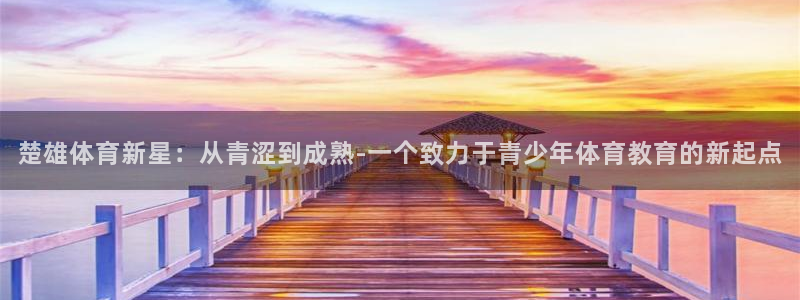 三亿体育网页版