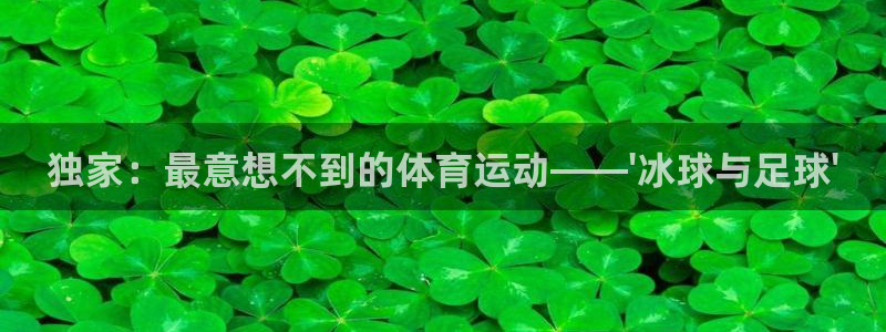三亿体育