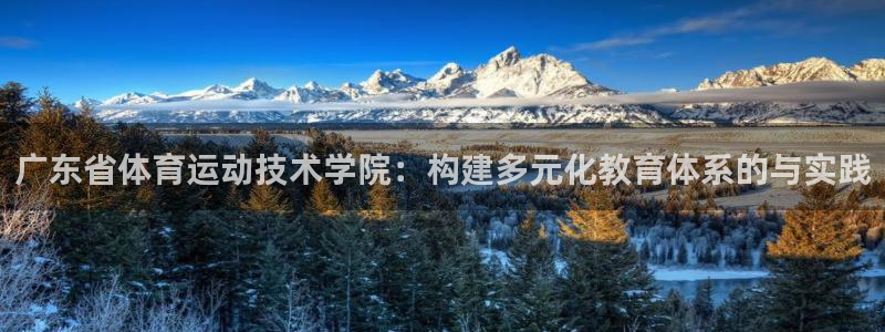 三亿体育网