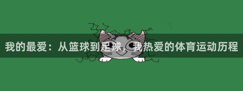 三亿体育网页版