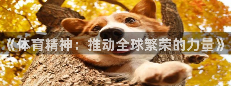 三亿体育网页版