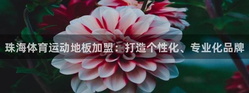三亿体育
